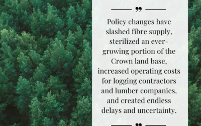 ICBA Economics OP/ED: Poor policy decisions have helped B.C.’s forestry decline